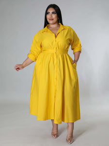Curve Long Sleeve Shirt Dress