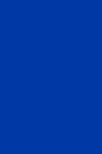 Load image into Gallery viewer, Crop Balloon Pocket Cardigan

